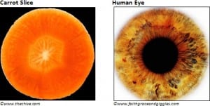 Carrot-slice-and-human-eye