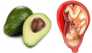 avocados-cervix-perfect