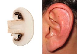 mushroom_ear