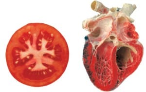 tomato-heart-health