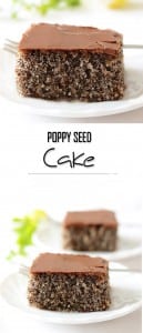 poppy-seed-cake3-w