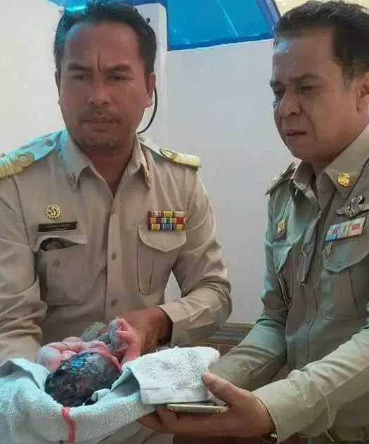 Bayi Tak Berdosa Dibuang Ke Dalam Lubang Tandas,Pelajar Kolej Ditahan Sabit Kesalahan