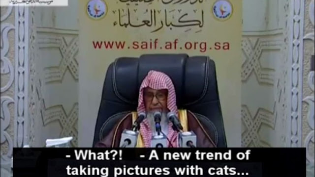 Ulama Arab Melarang Ambil Gambar Bersama Kucing Untuk Elak Netizen Menjadi ‘Seperti Orang Barat..”