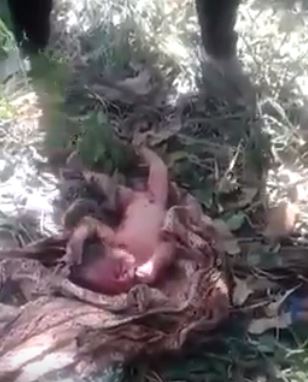 (Video) Bayi Ini Diselamatkan Orang Ramai Selepas Ditanam Di Dalam Tanah Dalam Keadaan Hidup!