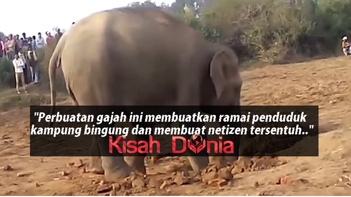 (Video) Isteri Bertuah Ini Terima Kejutan Misteri Dari Suaminya, Tapi Kena Buat Explorace Dulu Tau!