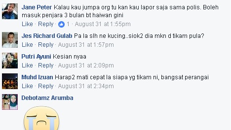 Terkejut Besar Netizen Tengok Keadaan Kucing Ini Ditikam Kejam Macam Itu!!!