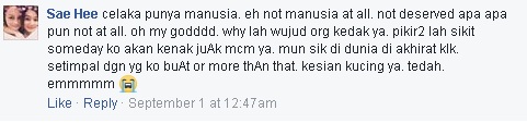 Terkejut Besar Netizen Tengok Keadaan Kucing Ini Ditikam Kejam Macam Itu!!!