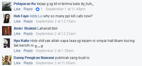 Terkejut Besar Netizen Tengok Keadaan Kucing Ini Ditikam Kejam Macam Itu!!!