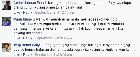 Terkejut Besar Netizen Tengok Keadaan Kucing Ini Ditikam Kejam Macam Itu!!!