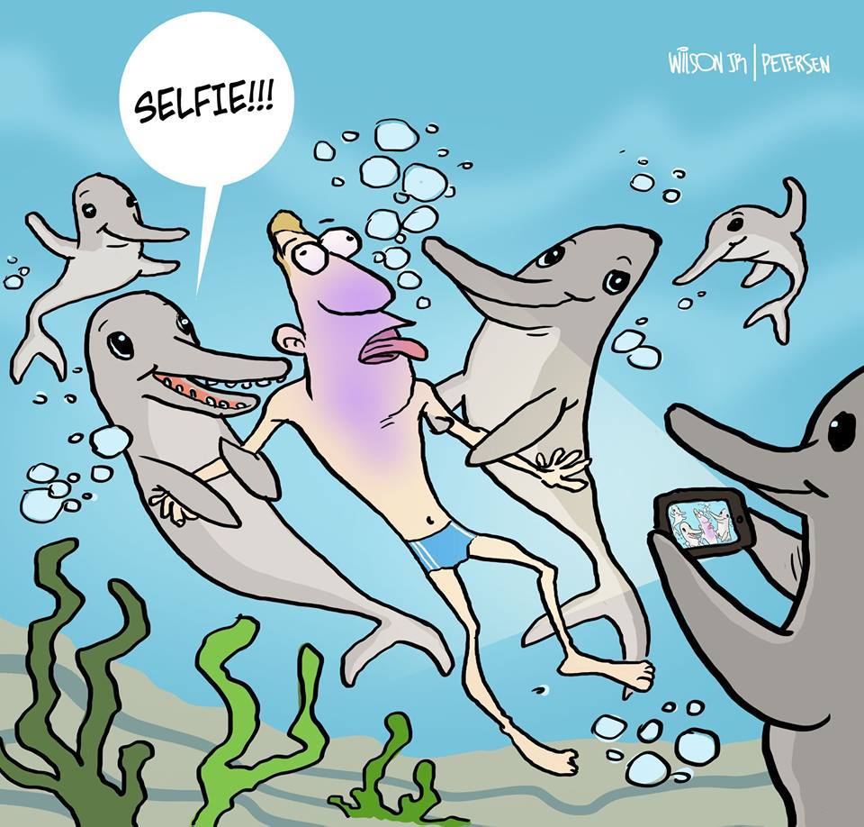 Anak Dolfin Disahkan Mati Apabila Sekumpulan Pelancong Berebut-rebut Mahu Ambil Gambar Selfie Dengannya