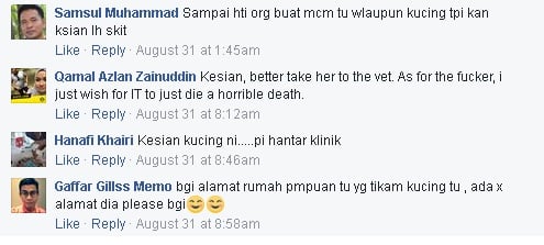 Terkejut Besar Netizen Tengok Keadaan Kucing Ini Ditikam Kejam Macam Itu!!!