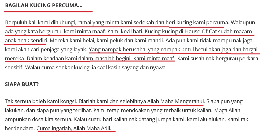 Kisah House of Cat yang Terpaksa Ditutup Setelah Disihir Oleh Individu Yang Iri Hati,Kenapa Masih Ada Lagi Manusia Yang Zalim