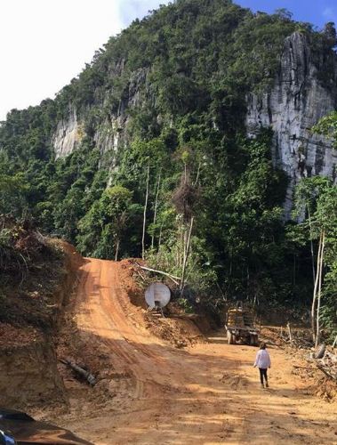 “Selamatkan Kami Manusia…” -2,600 Ekar Hutan Merapoh Bakal Dibalak, Pencinta Alam Minta Sokongan Netizen!