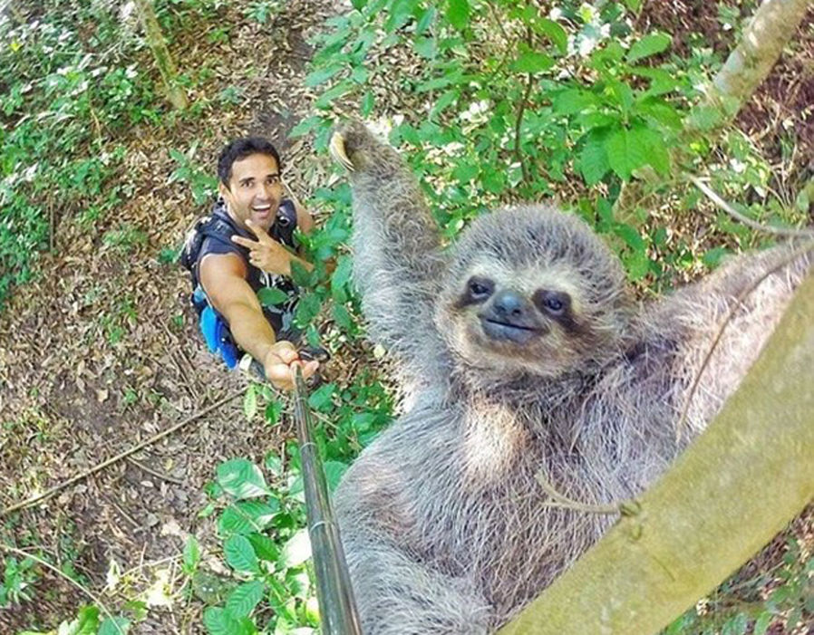 Koleksi Wajah haiwan Dengan Gaya Comel dan Cute Di Hadapan Kamera Menjadi Viral Dan Buat Netizen Jatuh Hati,Comelnya Dorang!!!