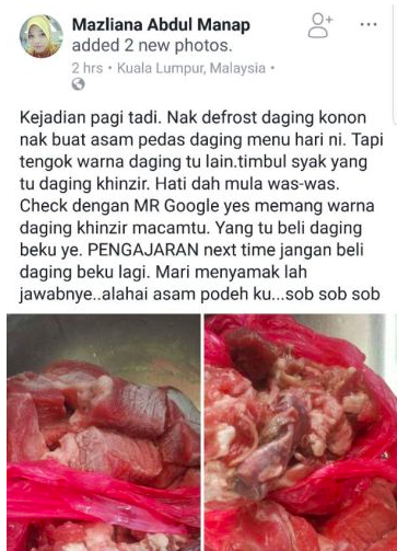 Tak Tahu Nak Masak Apa, Putus Selera Kejap – Dihentam Terbeli Daging Khinzir, Wanita Ini Beri Penjelasan