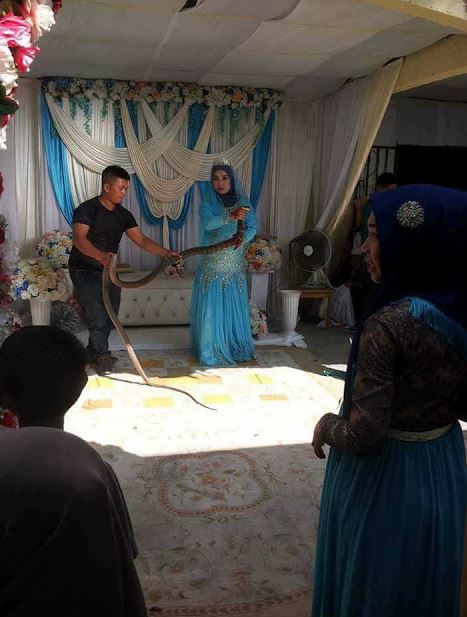 “Untung Dapat Bini Camni!” -Woww Pengantin Perempuan Tunjuk Skill, Buat Persembahan Ular Tedung Di Hari Perkahwinan!