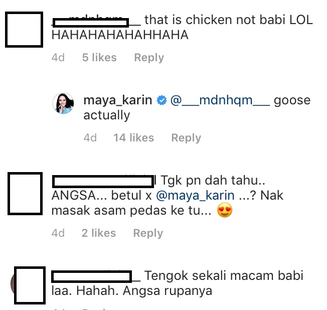 “OMG,Akak Maya Masak Apa Tu?Akak Masak Babi Ke Ape??”-Muat Naik Menu Masakan,Netizen Sangka Maya Karin Masak Babi