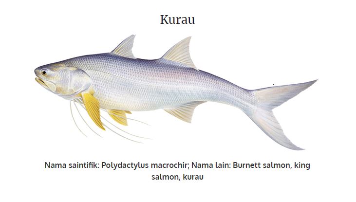 “Punca Telur Ikan Yang Dikatakan Beracun…” -Sayu! Kisah Di Sebalik Tragedi ‘Kubur Lima Beradik Mangsa Telur Ikan Kurau’ Tersingkap Kembali…