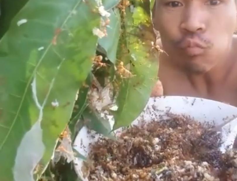 (VIDEO) Lelaki Ini Menjadi Popular Di Media Sosial Apabila Video Makan Telur Kerengga Viral!