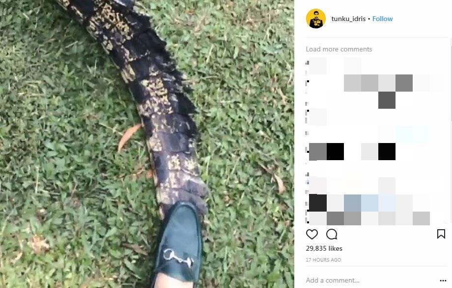 “Lepas Ni Pijak Bawang Muka Manusia Pulak!” – Netizen Terhibur Lihat Respon Sinis Tunku Idris Sindir Haters!