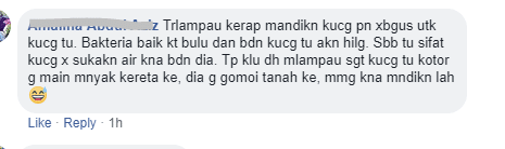 Dijaga Bersih Pun Boleh Bawa Risiko, Ini Sebab Ramai Ibu Tak Suka Bela Kucing Dalam Rumah!