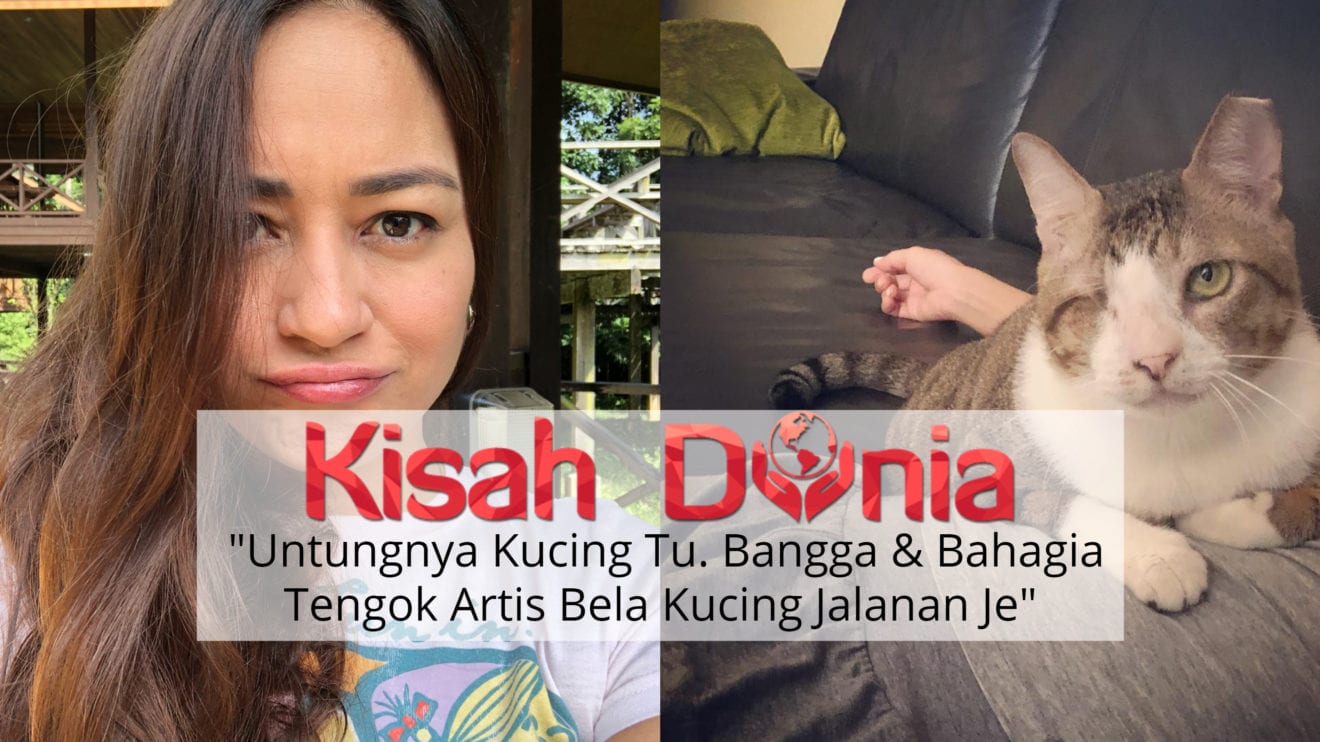 Bela Kucing Terbiar u0026 Cacat, Sikap Penyayang Maya Karin Dipuji 