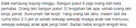 “Pemalas, Kaki Facebook, Bangun Lambat”- Ramai Cemburukan Suri Rumah Tapi..