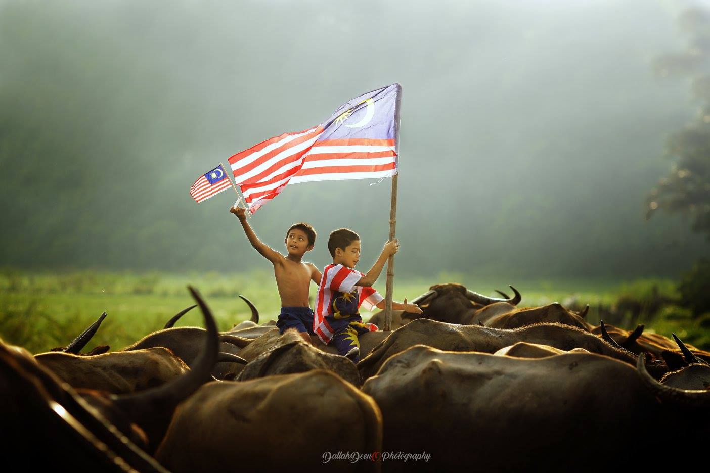 “Tak Pernah Jumpa Budak Kawan Dengan 80 Kerbau” Jurufoto Buka Kisah Kampung Boy