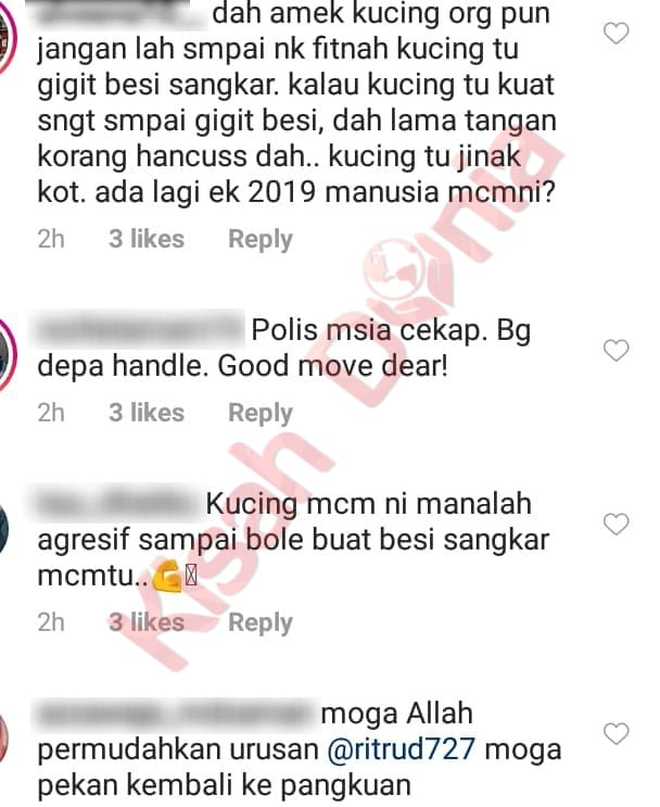 Hilang Kucing Sampai Lapor Ke P0lis, Hanya Pencinta Haiwan Je Yang 