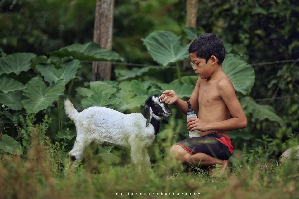 “Tak Pernah Jumpa Budak Kawan Dengan 80 Kerbau” Jurufoto Buka Kisah Kampung Boy