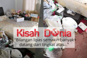 Viral Kerana Ternak Lipas Dalam Bilik, Housemate Gadis Ini Tampil Mohon Maaf 21