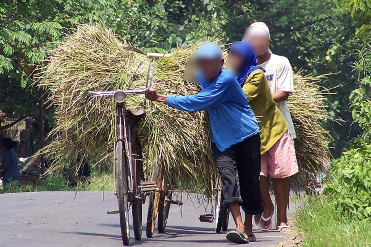 “Dah Tau Miskin Beranak Ramai Kenapa?”- Kecewa Dihina Guru Anak Petani Nekad…