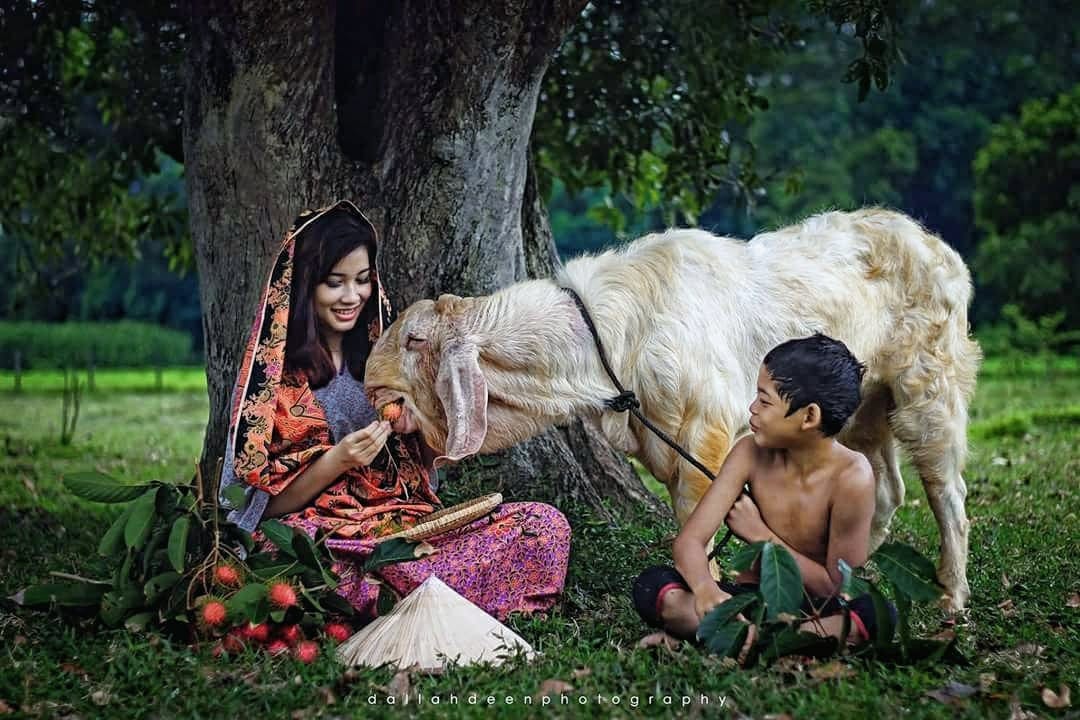 “Tak Pernah Jumpa Budak Kawan Dengan 80 Kerbau” Jurufoto Buka Kisah Kampung Boy