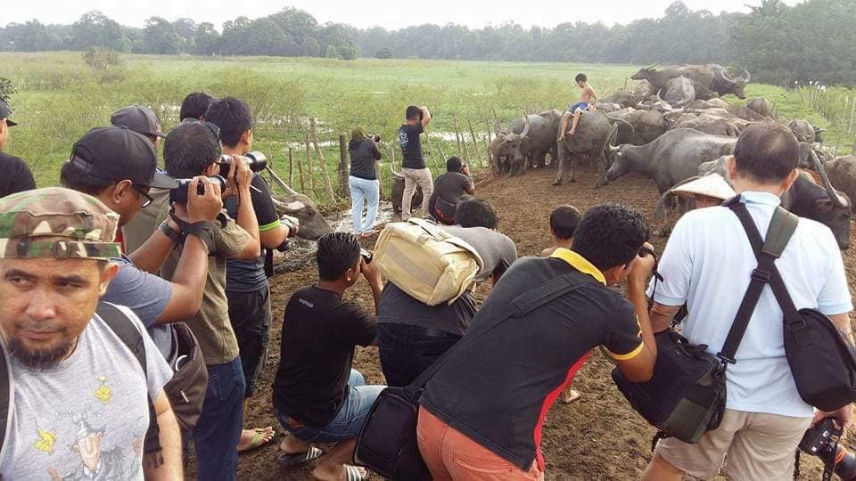 “Tak Pernah Jumpa Budak Kawan Dengan 80 Kerbau” Jurufoto Buka Kisah Kampung Boy