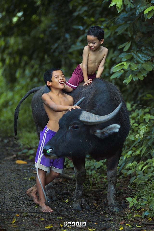 “Tak Pernah Jumpa Budak Kawan Dengan 80 Kerbau” Jurufoto Buka Kisah Kampung Boy