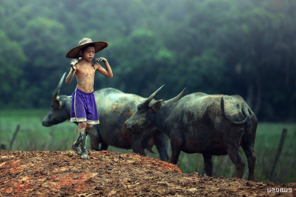 “Tak Pernah Jumpa Budak Kawan Dengan 80 Kerbau” Jurufoto Buka Kisah Kampung Boy