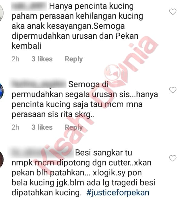 Hilang Kucing Sampai Lapor Ke P0lis, Hanya Pencinta Haiwan Je Yang 