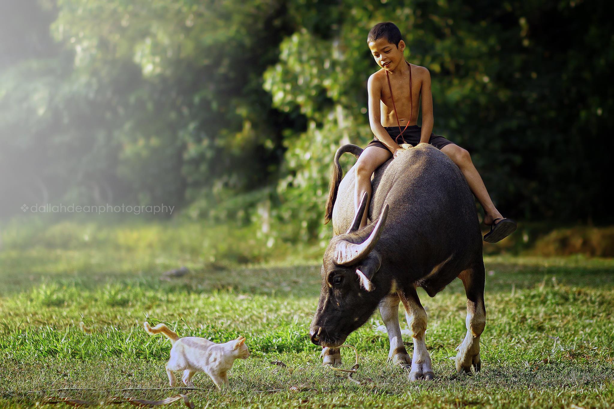 “Tak Pernah Jumpa Budak Kawan Dengan 80 Kerbau” Jurufoto Buka Kisah Kampung Boy