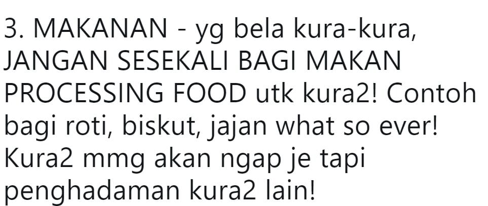 Minat Kura-Kura Tapi Takut Cepat M4ti? Gadis Kongsi Tips, 10 Tahun Masih Hidup!