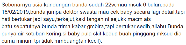 “Pergilah Sayang…” – Ibu Luah Sayu Kandungan Hampir 6 Bulan Dijemput Ilahi