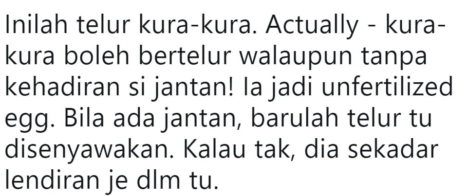 Minat Kura-Kura Tapi Takut Cepat M4ti? Gadis Kongsi Tips, 10 Tahun Masih Hidup!