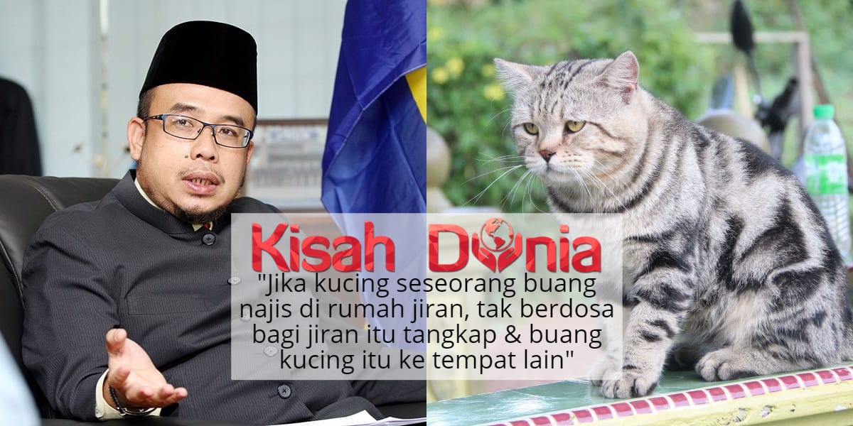 Tak Usah Pelihara Kucing Kalau Hanya Menyusahkan Jiran Tetangga Kisah Dunia