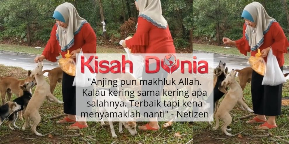 Ka8ud0ppzmgqcm