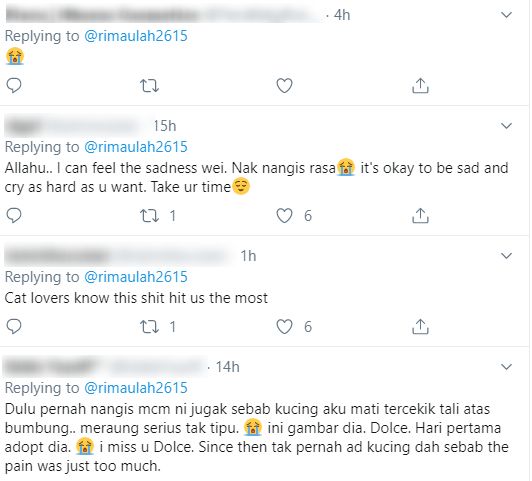 “Maafkan Abang, Amy” – Gugur Air Mata Jantan Selepas Perginya Kucing Kesayangan