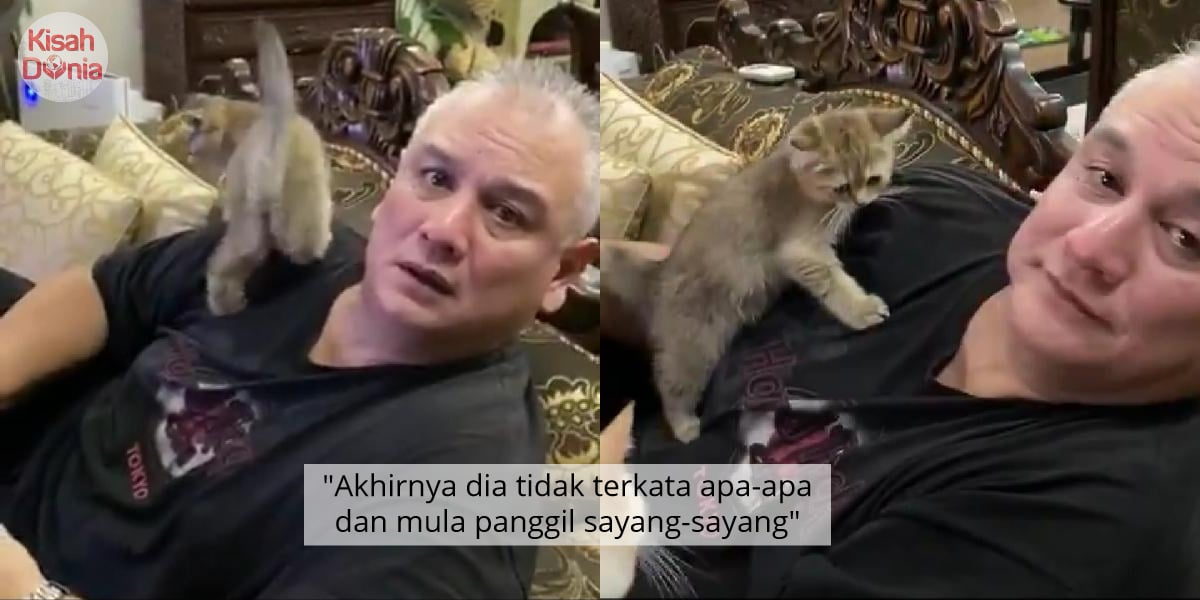 [VIDEO] Konon Tak Nak Tambah Kucing Lagi, Tapi Dah 13 Ekor Ayah Terus Pasrah 6