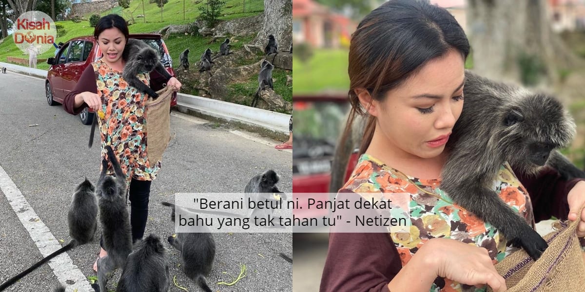 [VIDEO] Berani Dikerumun Monyet, Tiz Zaqyah Dipuji Netizen 9