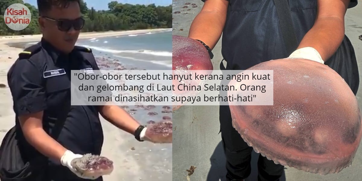 Selepas Pantai Terengganu, Kini Labuan Pula 'Dikunjungi' Oleh Ribuan Obor-Obor 6