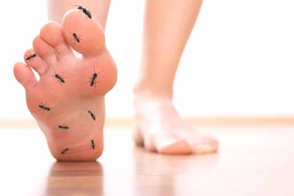 Kaki Sering ‘Sesemut’ Mungkin Tanda Kencing Manis, Doktor Kongsi Punca-Puncanya
