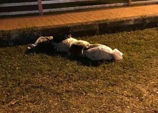 Anak Tak Henti Nangis, Ibu Berpantang Di Rumah Pusaka Dikacau ‘Benda’ Atas Atap