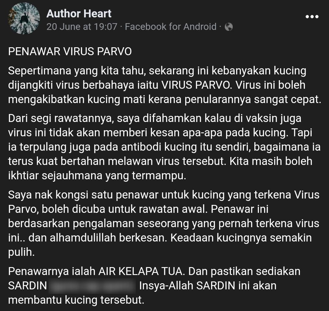 Bahana Virus Parvo Yang Buat ‘Si Meow’ Ajal, Tuan Kucing Boleh Cuba Penawar Ini